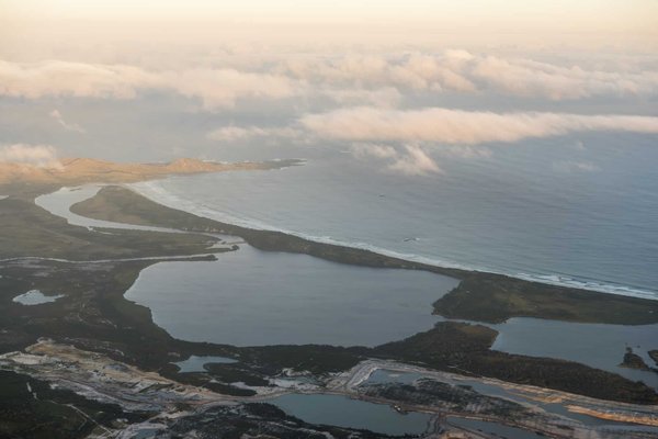 Quels sont les différentes espèces de dauphin que l'on peut voir dans les caraibes ?