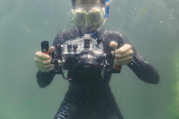 Caméra Sous Marine : Techniques de Photographie et Vidéo Immergées