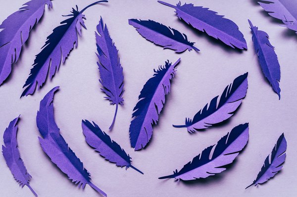 Comment faire des plumes avec du papier ?