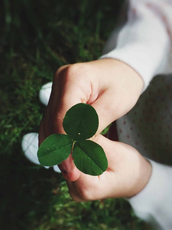 Salon de l'environnement: quels sont les avantages?